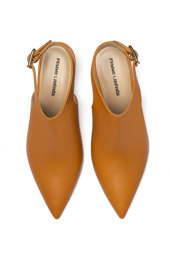Brown ladies buckle shoes on a white background shot from above